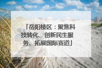 岳阳楼区：聚焦科技转化、创新民生服务、拓展国际赛道